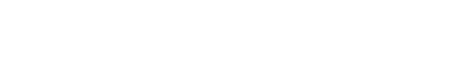 Shopify Partner